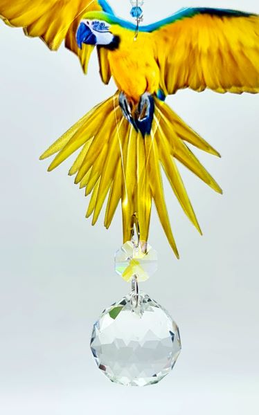 macaw suncatcher blue yellow gnc2
