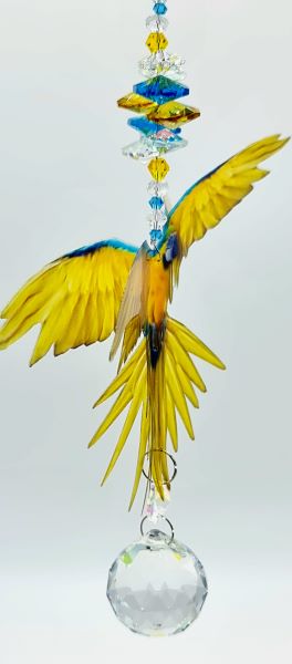 macaw suncatcher blue yellow macaw suncatcher blue yellow