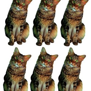 vinyl craft cut out- brown tabby cat