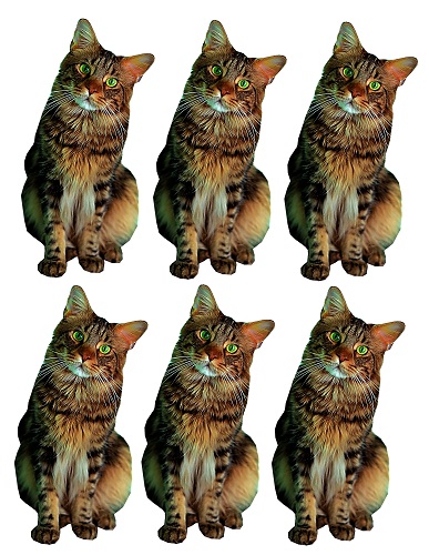 vinyl craft cut out- brown tabby cat vinyl craft cut out- brown tabby cat