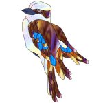 kookaburra film design