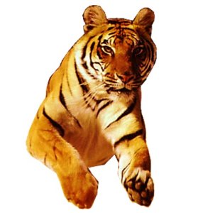 tiger 1 craft film cutouts