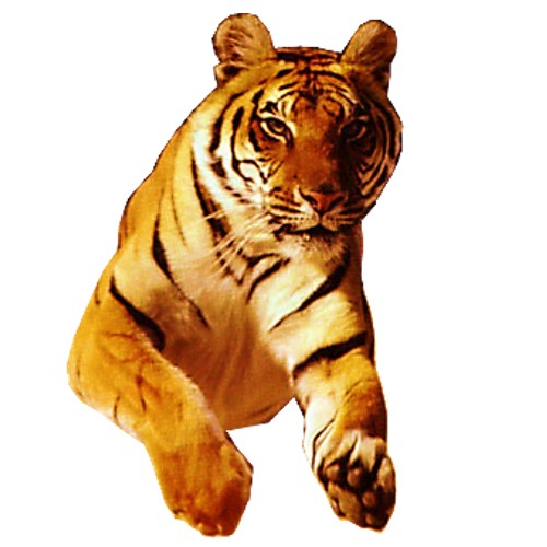tiger 1 craft film cutouts tiger 1 craft film cutouts