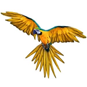 yellow macaw film cut outs gnc
