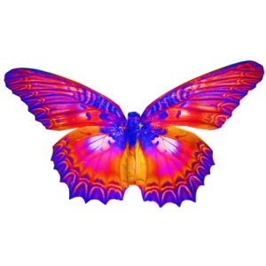 butterfly #3 craft film designs
