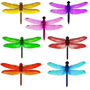 dragonfly #1 craft film designs
