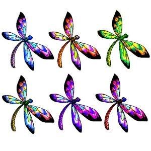 pastel dragonfly craft film designs