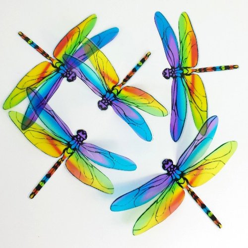 rainbow dragonflies