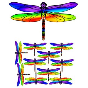 rainbow dragonfly craft film designs