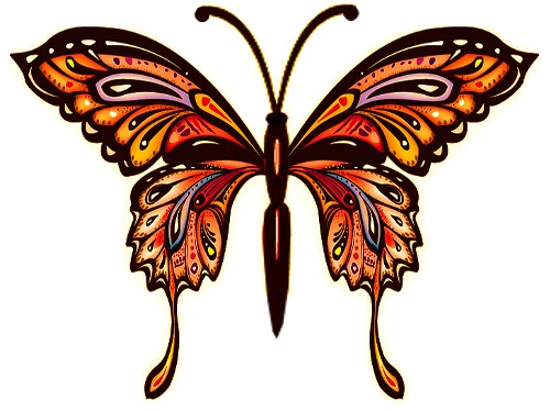 bfly 17 orange