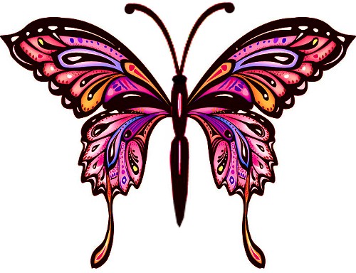 bfly 17 pink