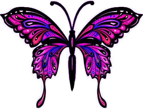 bfly 17 purple