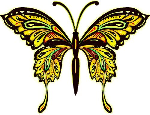 bfly 17 yellow