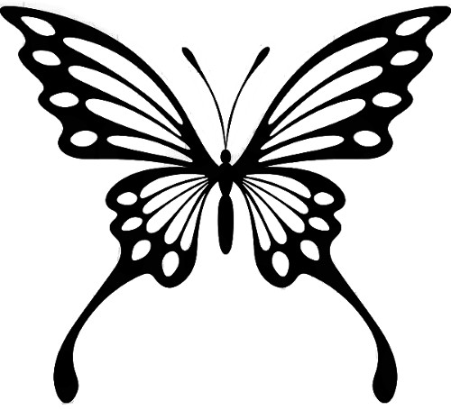 bfly bw 1