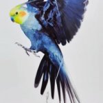 cockatiel suncatcher