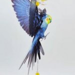 cockatiel suncatcher