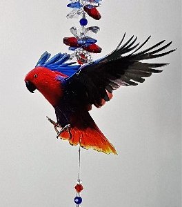 eclectus suncatcher 1.1