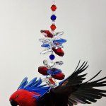 eclectus suncatcher 1.3