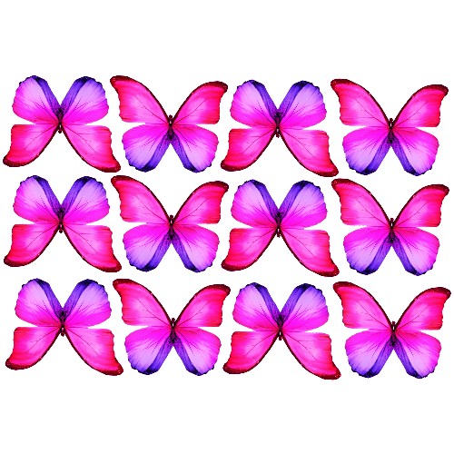 butterfly film designs c1a butterfly film designs c1a
