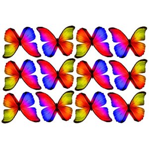 butterfly film designs c1b