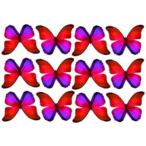 butterfly film designs c1d