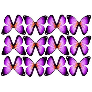 butterfly film designs c1ebutterfly film designs c1e