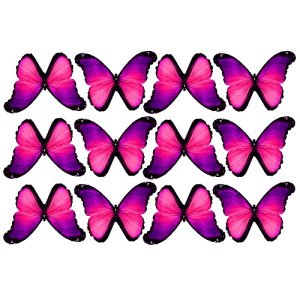 butterfly film designs c1f