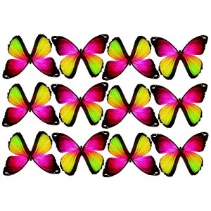 butterfly film designs c1g