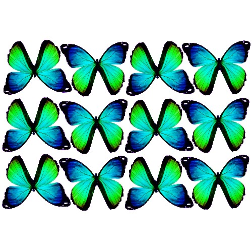 butterfly film designs c1gh butterfly film designs c1gh